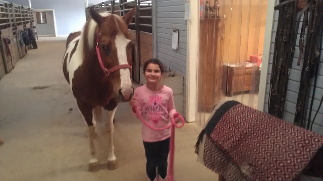 Madyson putting Scooter back in his stall after her lesson. From Don Mack